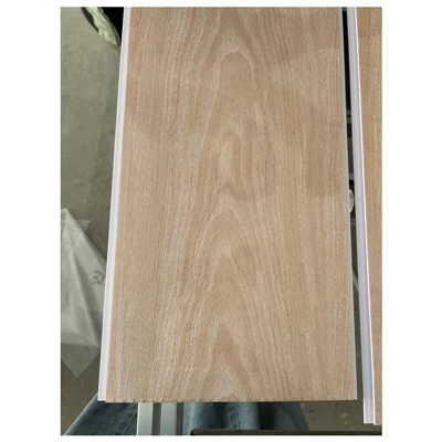 Pannello da soffitto in PVC Techo PVC