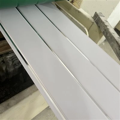 Soffitto in PVC